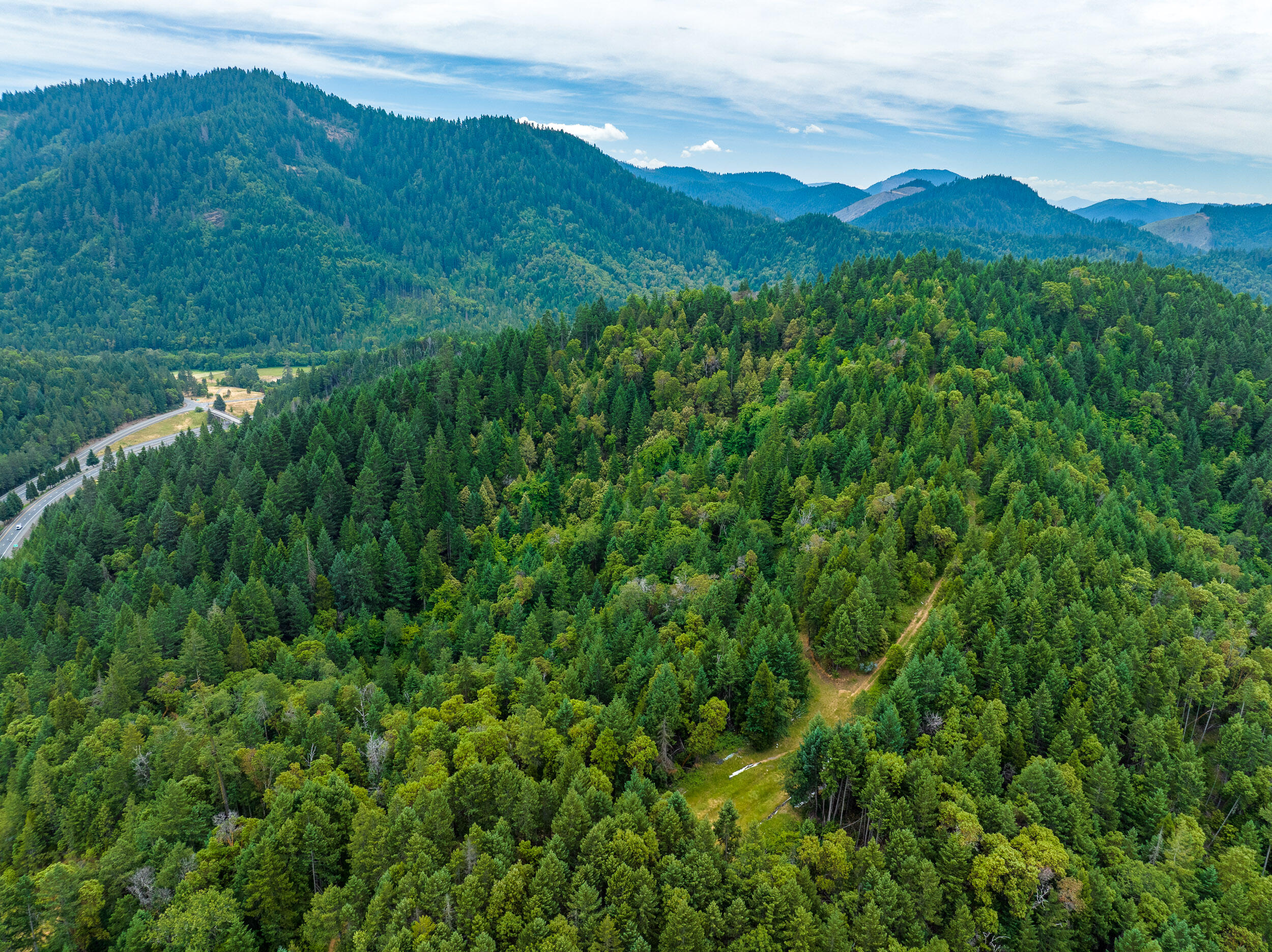 1251 Warner Road Wolf Creek, OR 97497 - Photo 8 of 17 1251WarnerRd-008