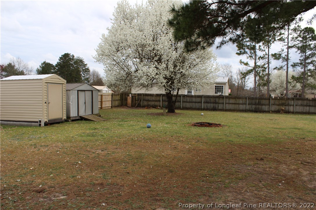 6520 Faircloth Bridge Road Stedman, NC 28391 - Photo 31 of 39 a view of a backyard with large trees