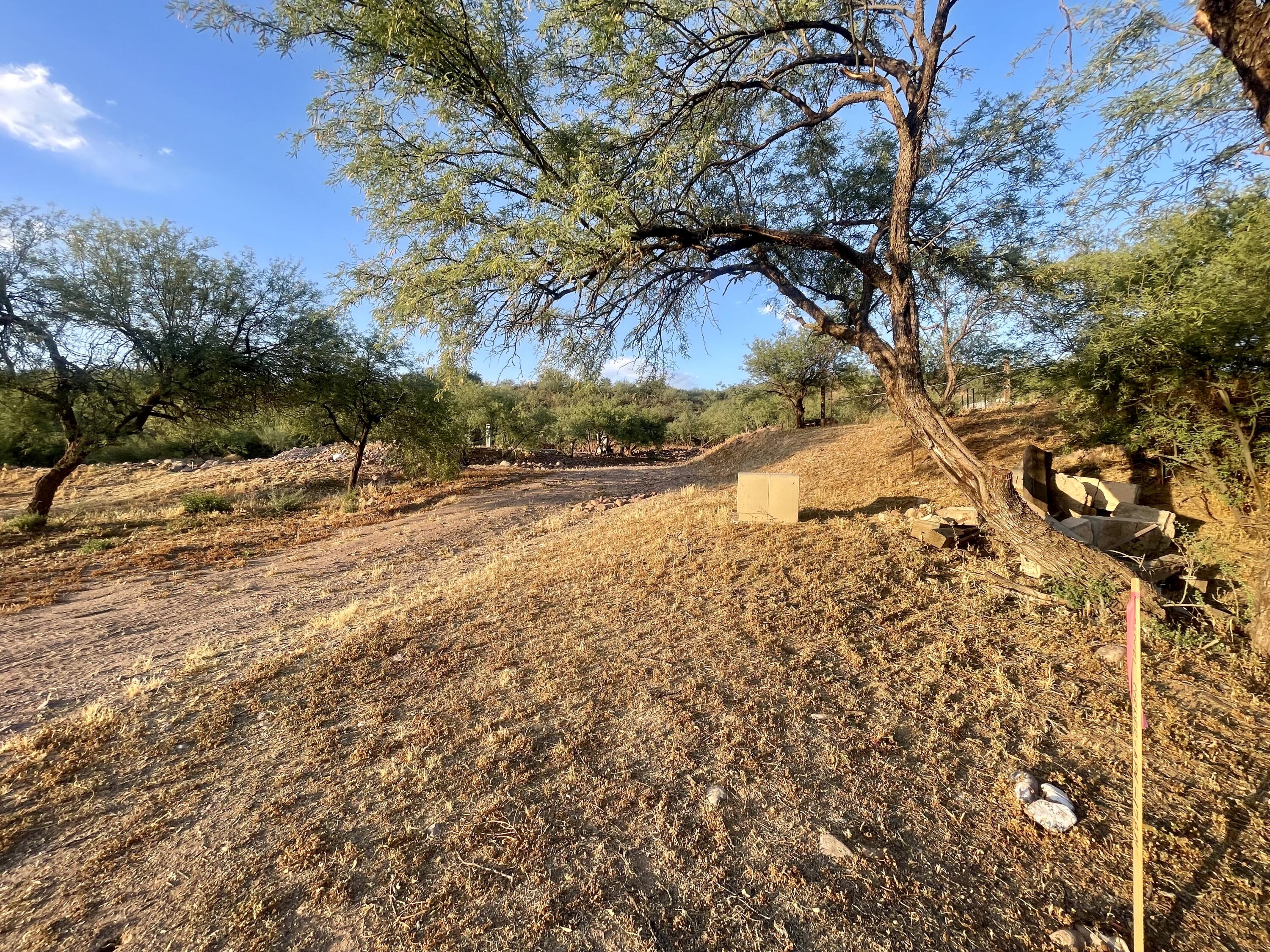 474 West Rodeo Drive Tonto Basin, AZ 85553 - Photo 14 of 19 IMG_5655