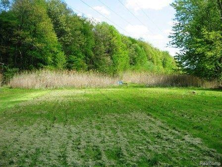 4.82 Acres