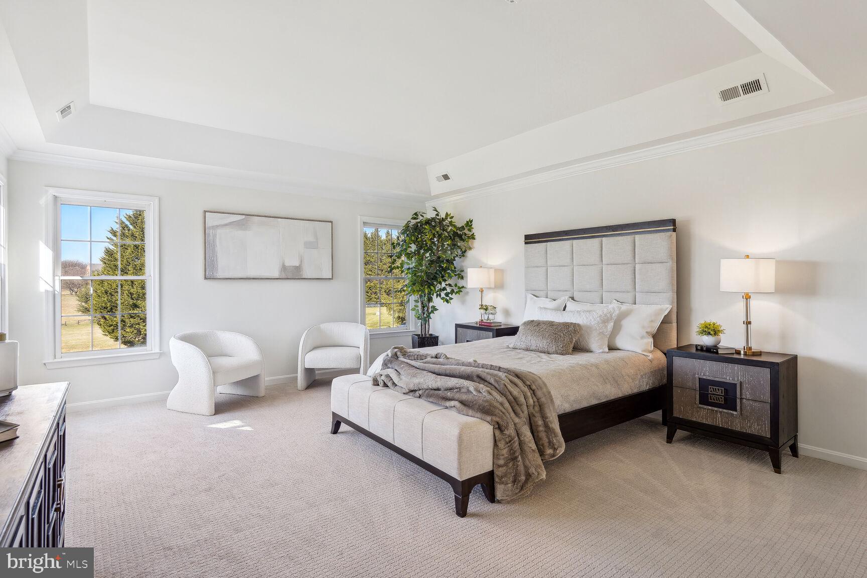 12313 Riding Fields Road Rockville, MD 20850 - Photo 11 of 42 Spacious & Bright Primary Suite with tray ceiling