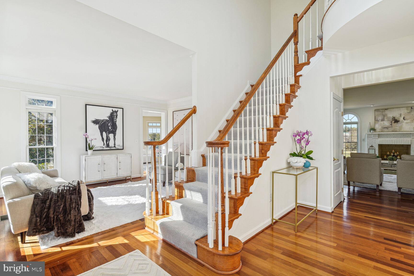 12313 Riding Fields Road Rockville, MD 20850 - Photo 2 of 42 Bright spacious entrance