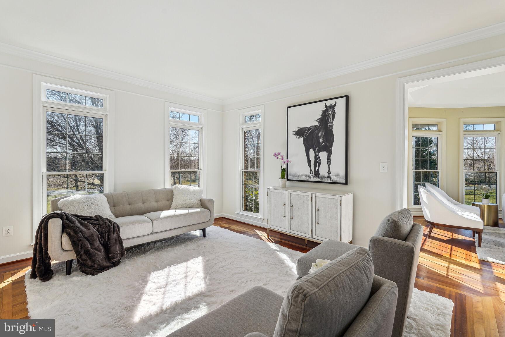 12313 Riding Fields Road Rockville, MD 20850 - Photo 4 of 42 Gracious Living Room