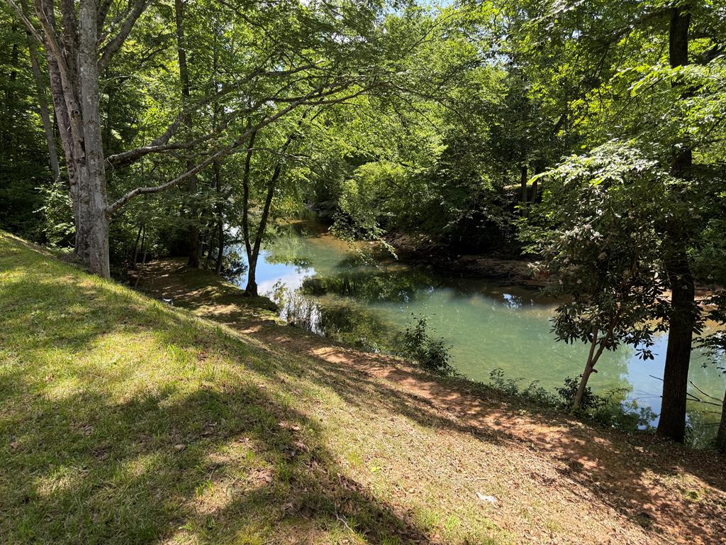 935 Myers Chapel Road Hayesville, NC 28904 - Photo 22 of 24