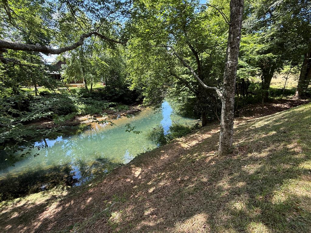 935 Myers Chapel Road Hayesville, NC 28904 - Photo 23 of 24