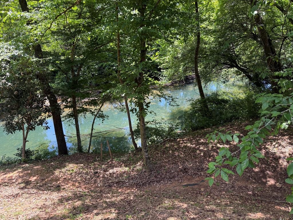 935 Myers Chapel Road Hayesville, NC 28904 - Photo 24 of 24