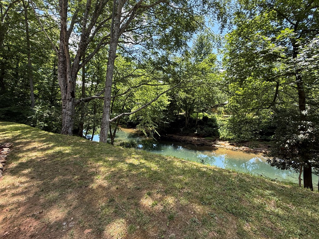 935 Myers Chapel Road Hayesville, NC 28904 - Photo 4 of 24