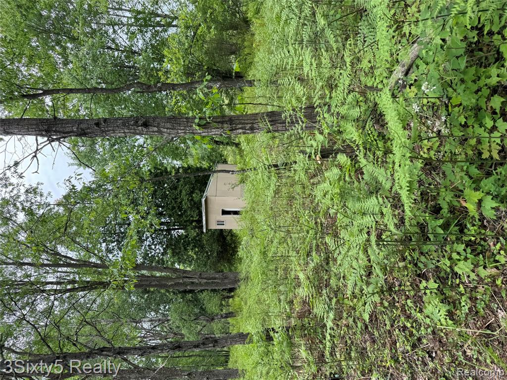 7710 West 10 Mile Road Bitely, MI 49309 - Photo 9 of 11