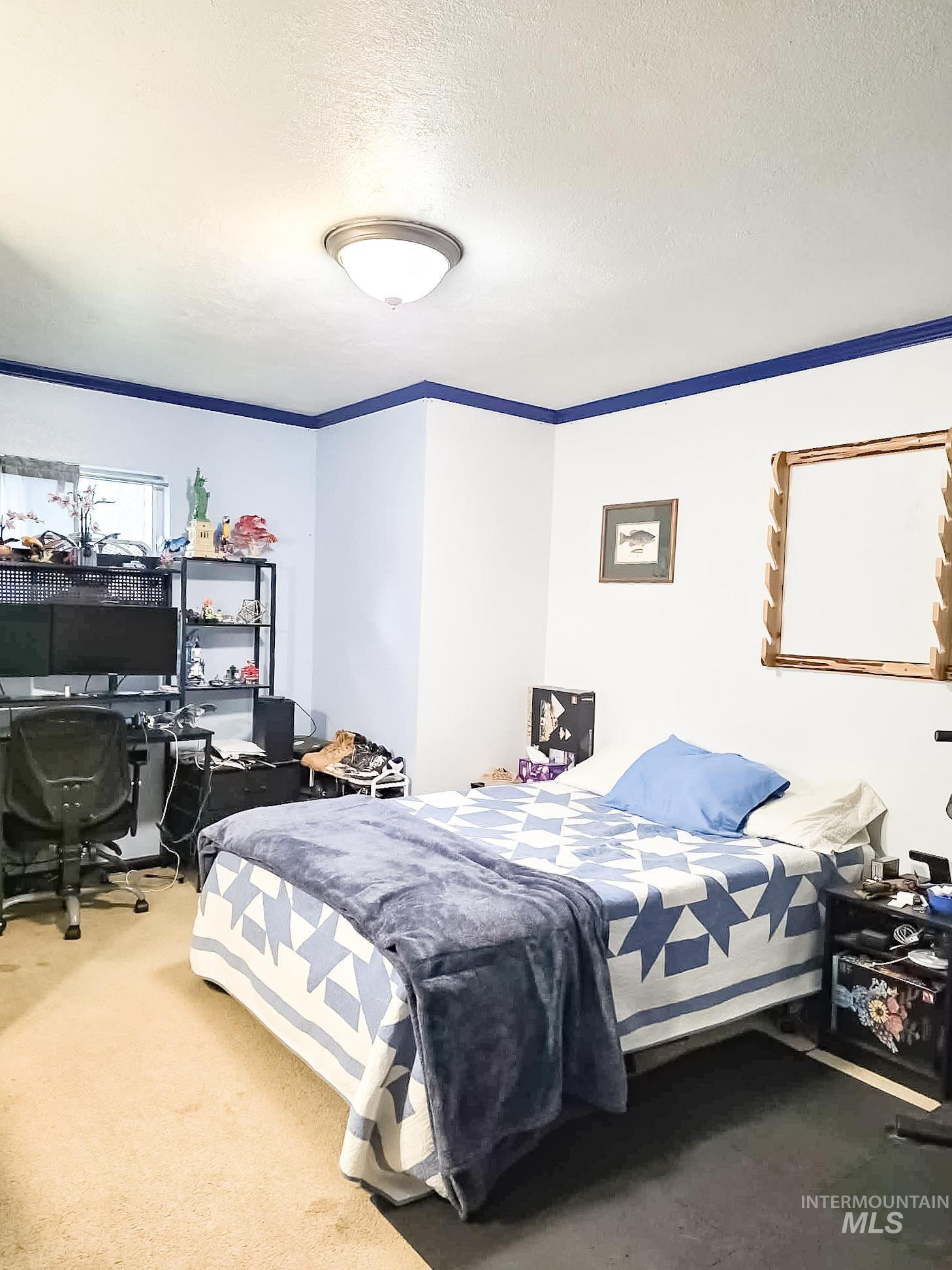 1650 Wells Bench Road Orofino, ID 83544 - Photo 20 of 44 Spacious bedroom featuring light-colored walls with blue trim, a semi-flush mount ceiling light, and a window providing natural light