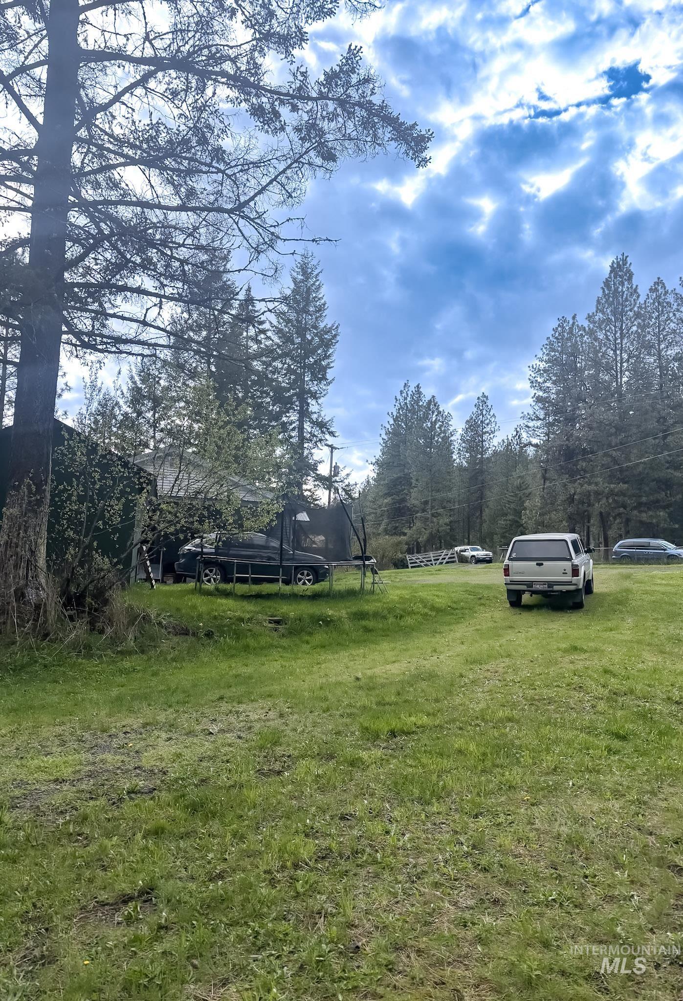 1650 Wells Bench Road Orofino, ID 83544 - Photo 35 of 44 Expansive grassy area with mature trees and dense natural foliage