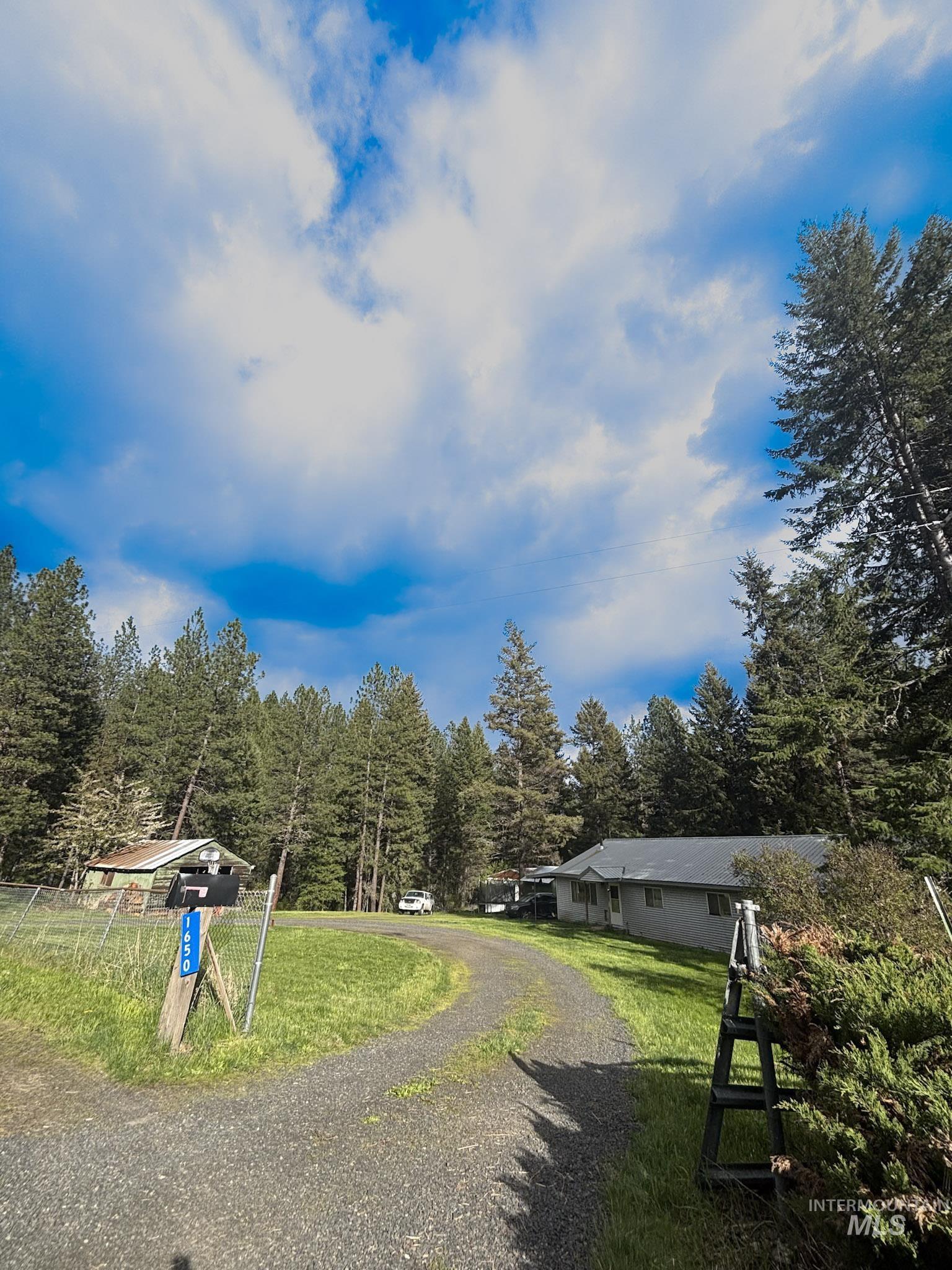 1650 Wells Bench Road Orofino, ID 83544 - Photo 41 of 44 Gravel driveway leading to two distinct structures, surrounded by mature evergreen trees