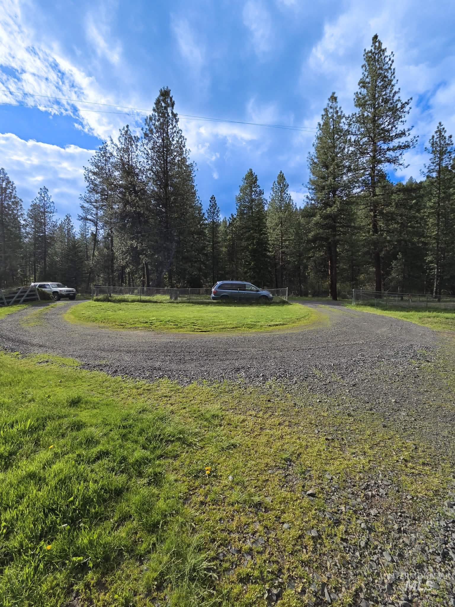 1650 Wells Bench Road Orofino, ID 83544 - Photo 43 of 44 Gravel driveway with a circular turn-around, surrounded by a verdant lawn and mature pine trees