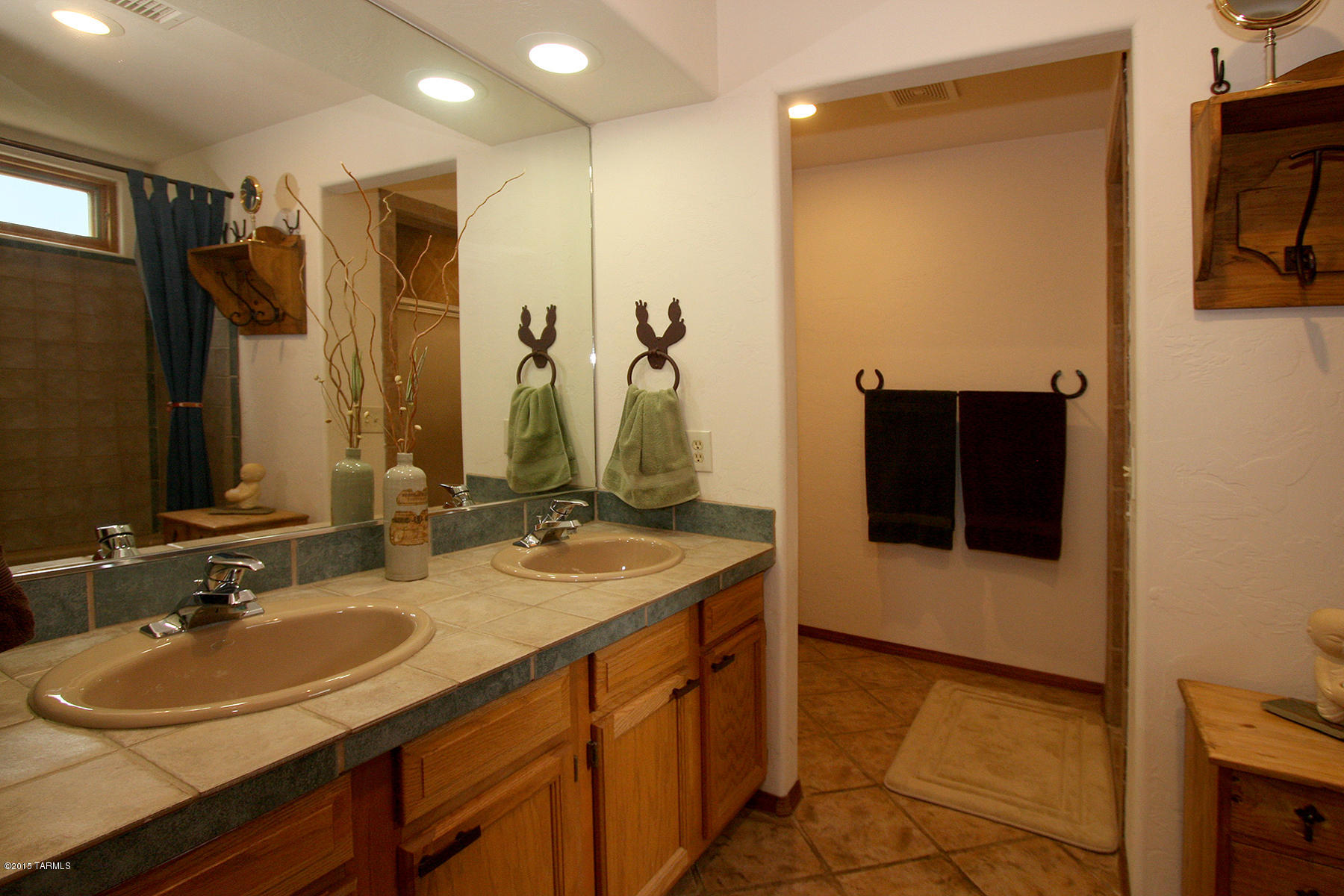 9780 East Ocotillo Rim Trail Vail, AZ 85641 - Photo 18 of 48 Master Bath
