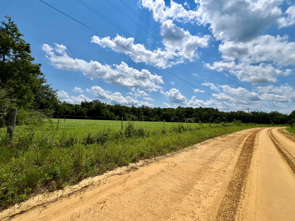 1091 Old Geneva Road Samson, AL 36477 - Photo 55 of 62
