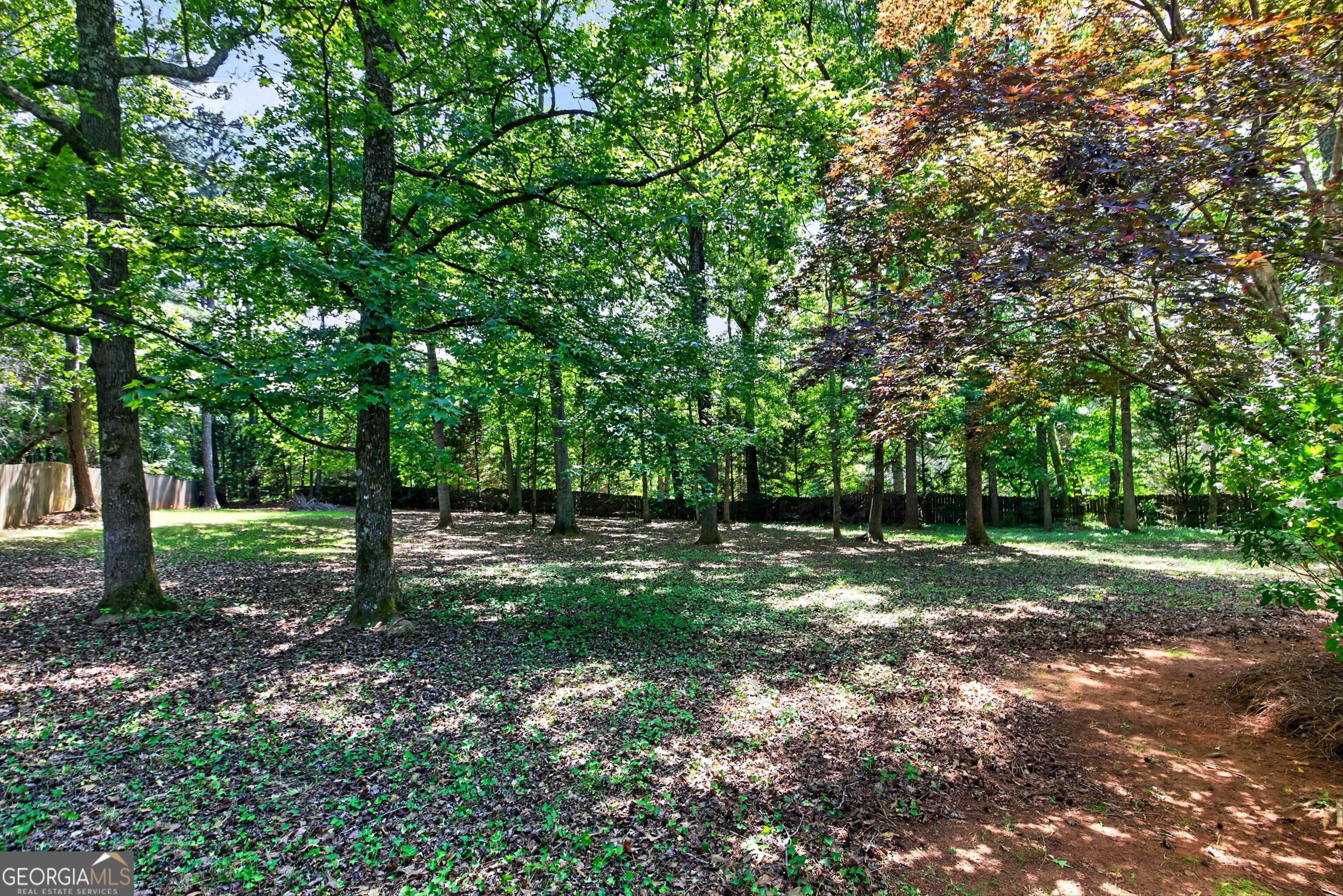 101 Emerald Lane Hampton, GA 30228 - Photo 54 of 72 a view of a tree in a yard