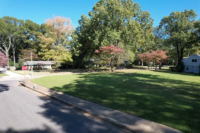 a view of yard with green space
