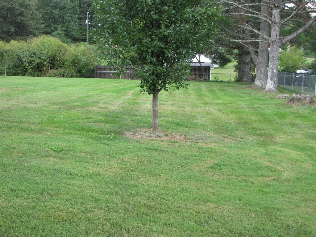 317 Fox Fire Road Max Meadows, VA 24360 - Photo 14 of 24 Gallery Image 14