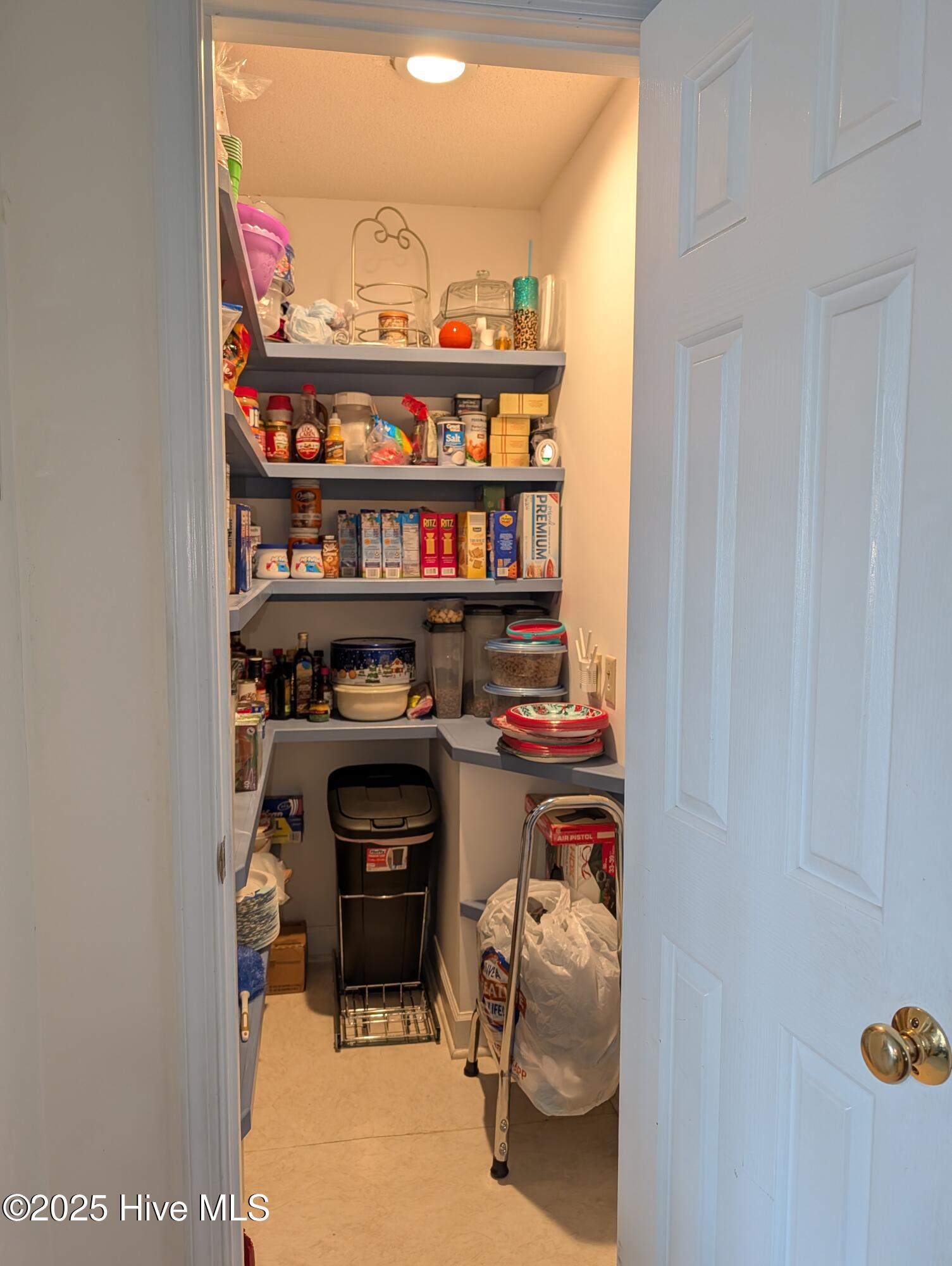 247 Longleaf Drive West End, NC 27376 - Photo 21 of 72 View of the pantry from the kitchen, nice and deep.