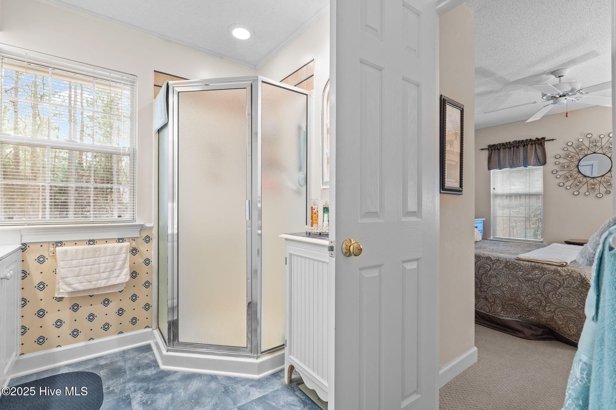 247 Longleaf Drive West End, NC 27376 - Photo 36 of 79 Guest bathroom with walk-in shower.