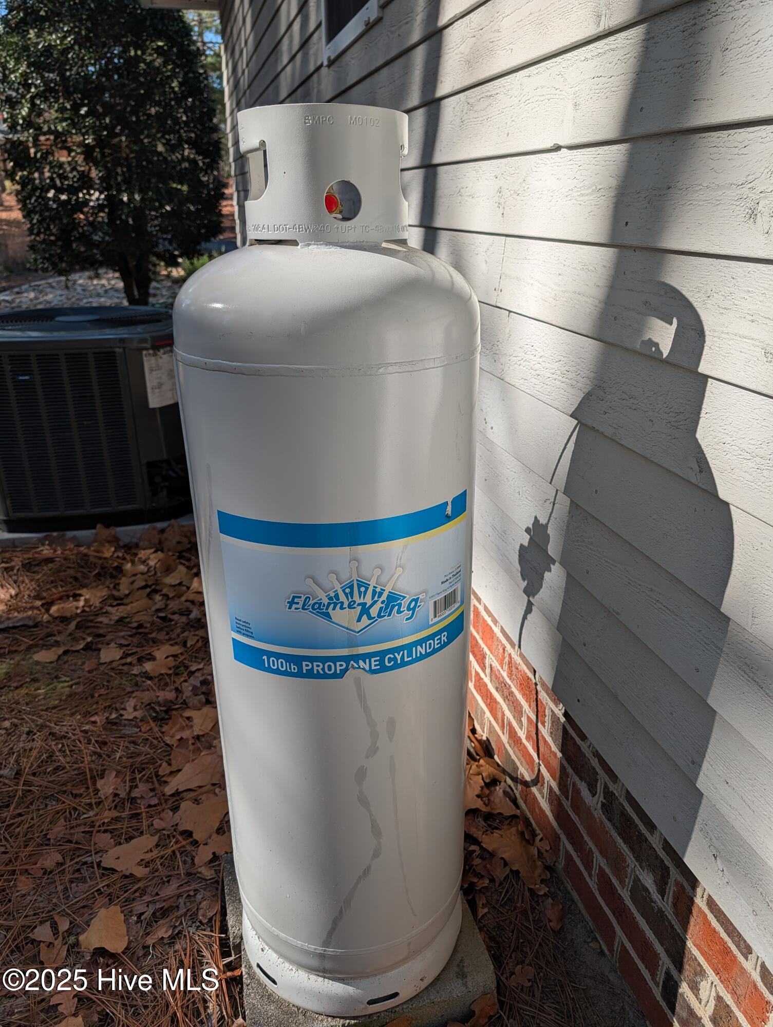 247 Longleaf Drive West End, NC 27376 - Photo 54 of 79 VIew of the propane tank for the fireplace.
