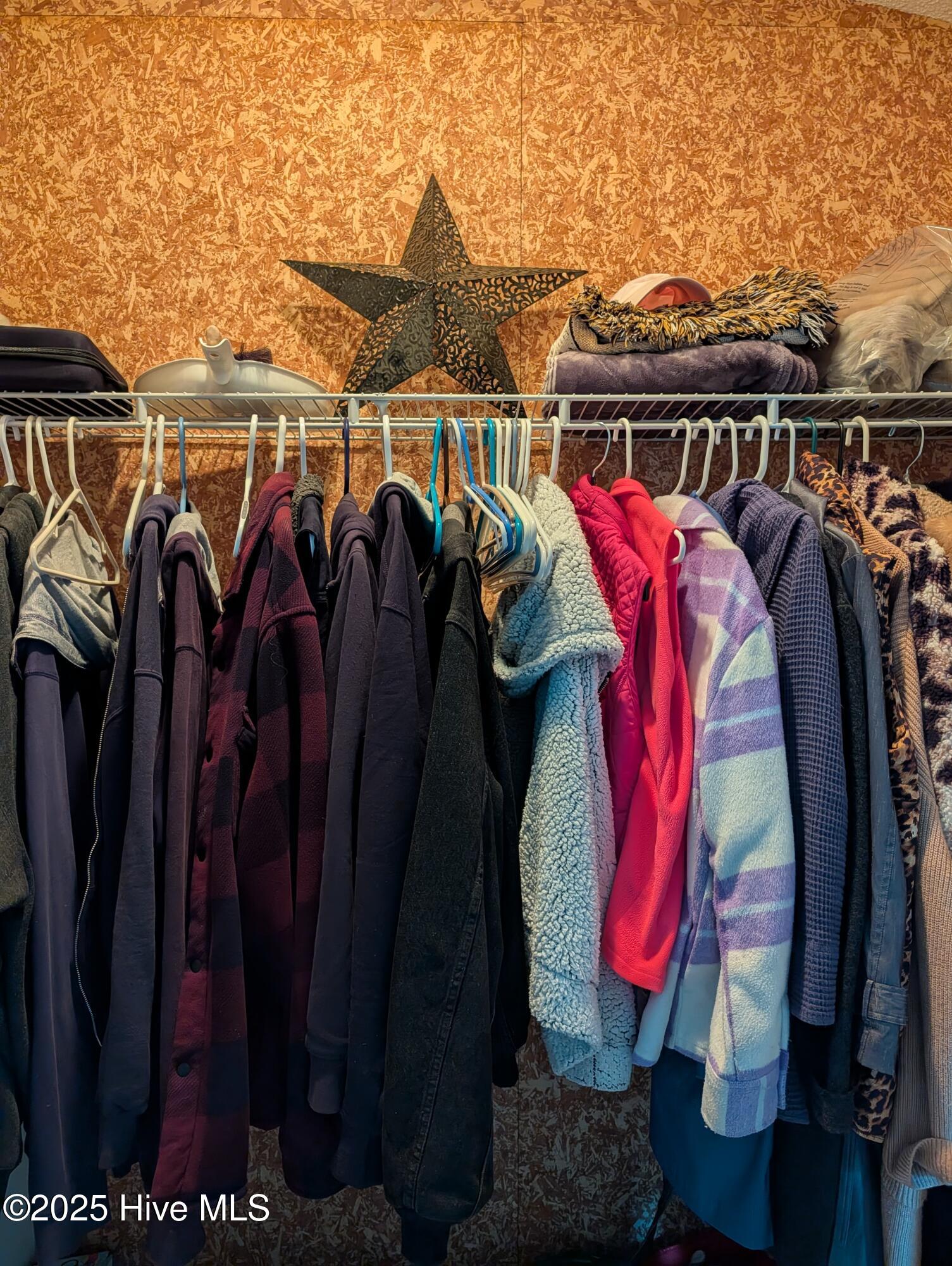 247 Longleaf Drive West End, NC 27376 - Photo 6 of 79 View of the cedar lined closet in the foyer.