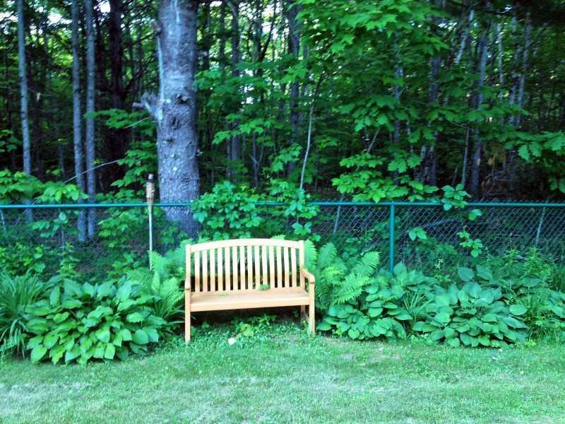 28 Fire Rd S-21 Belgrade, ME 04917 - Photo 34 of 35 Yard/Garden.