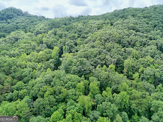 $745,000 | 595 Jim McCrackin Road, Clayton, GA 30525