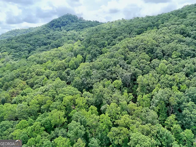 $745,000 | 595 Jim McCrackin Road, Clayton, GA 30525