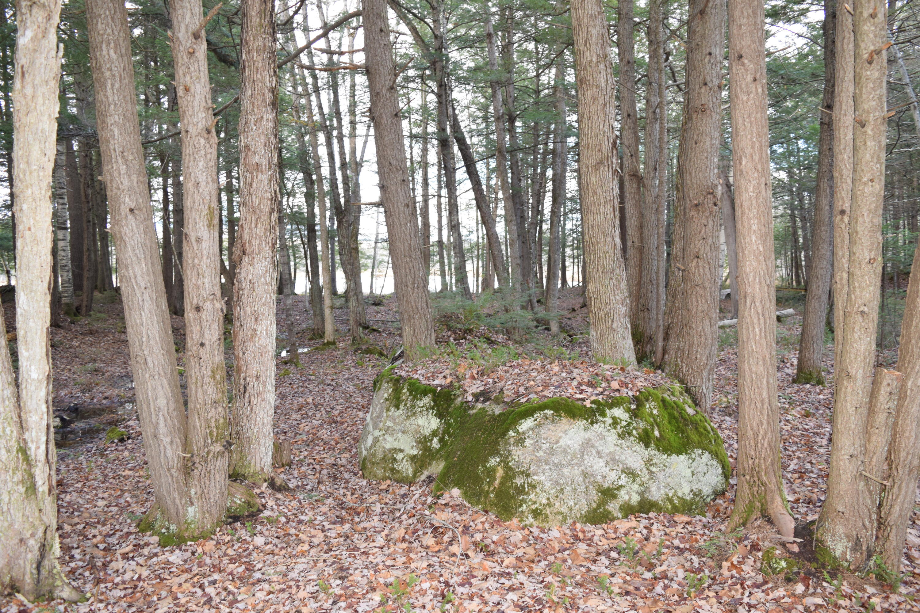 0 Valley Road Sumner, ME 04292 - Photo 18 of 30 DSC_1408