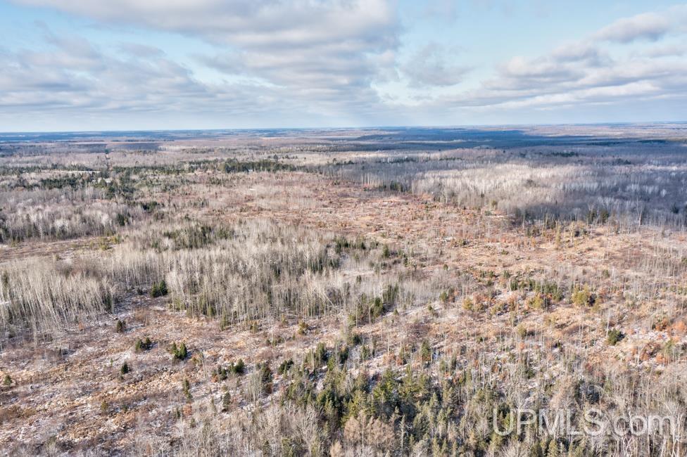 Jimtown Road Stephenson, MI 49887 - Photo 15 of 16