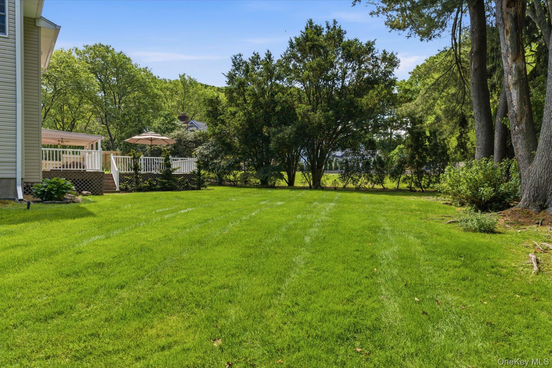 6 Brandy Road Cold Spring Harbor, NY 11724 - Photo 23 of 25 a view of a trees with a big yard