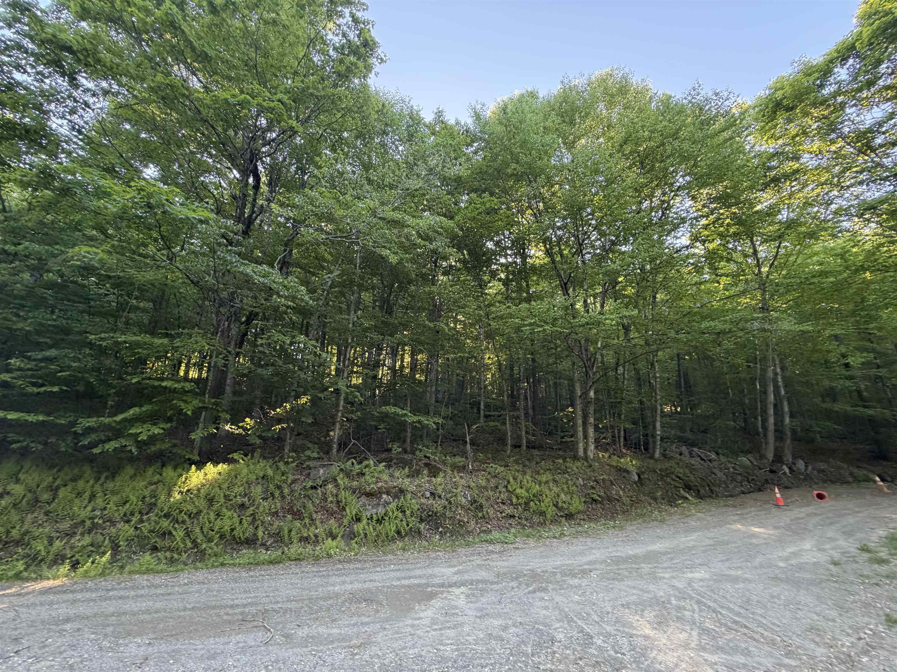 Scattered Timber Road Wilmington, VT 05363 - Photo 23 of 24