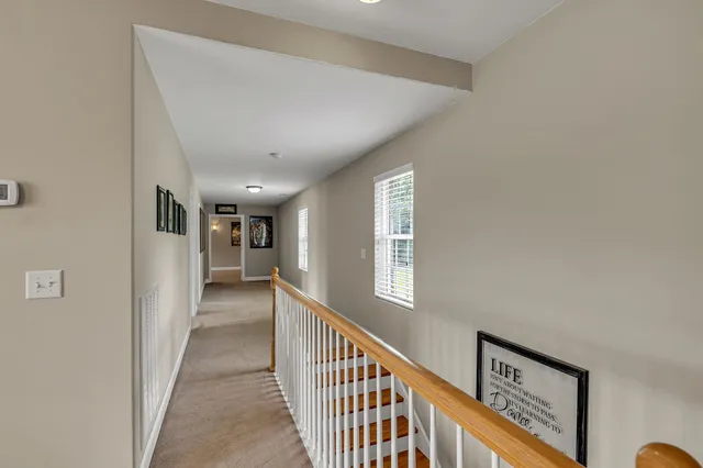 a view of a green yard with large trees