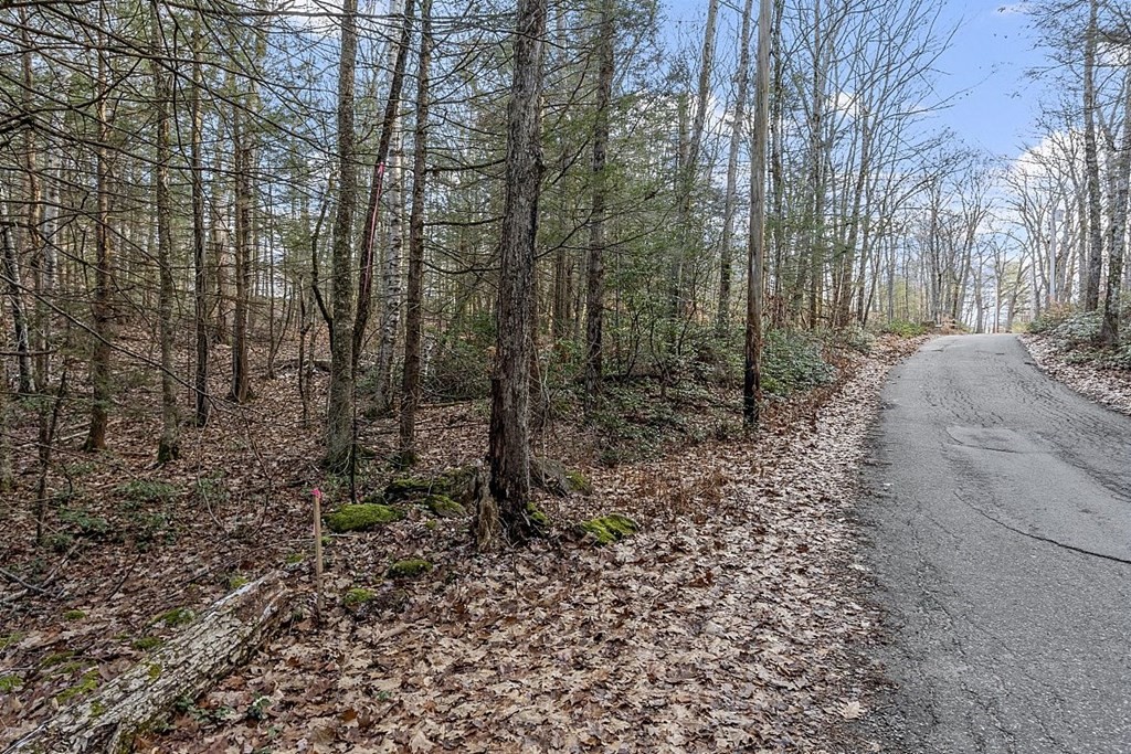 Lot 44-2 Cummings Road Winchendon, MA 01475 - Photo 3 of 10 a view of a forest filled with trees