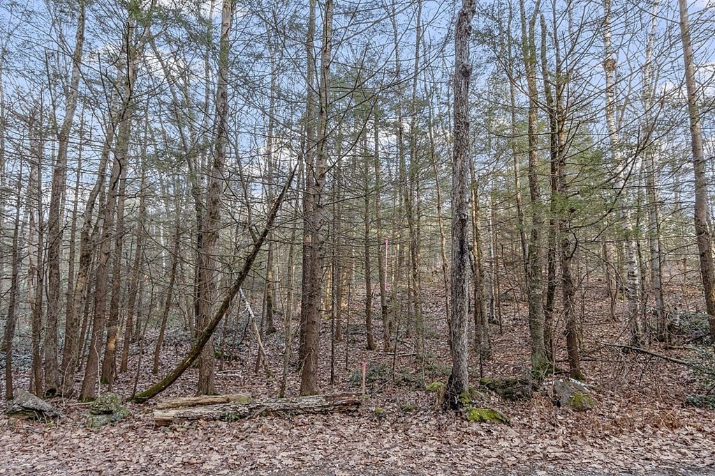Lot 44-2 Cummings Road Winchendon, MA 01475 - Photo 5 of 10 a backyard of a house with lots of green space