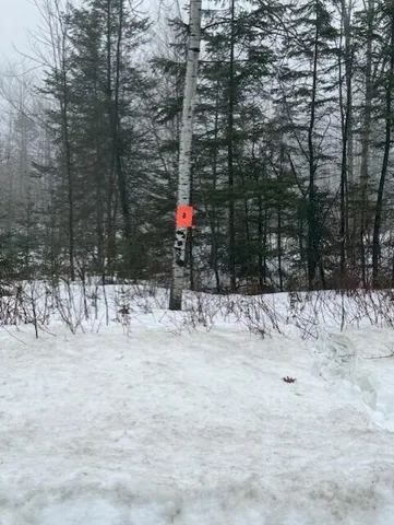 $29,500 | B McDonald Road, Mapleton, ME 04757