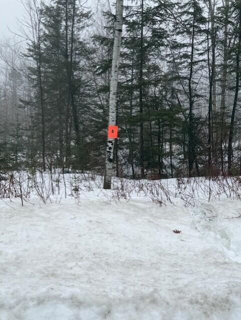 B McDonald Road Mapleton, ME 04757 - Photo 1 of 6 61eebde4-a4d4-4a55-ba8b-bbb8f34a17eb