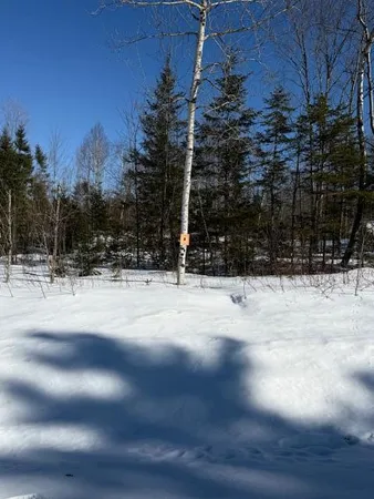 $29,500 | B McDonald Road, Mapleton, ME 04757