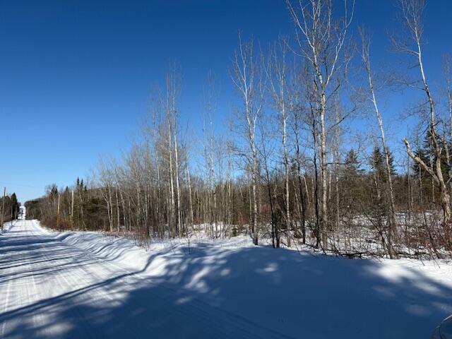 B McDonald Road Mapleton, ME 04757 - Photo 2 of 7 IMG_2253