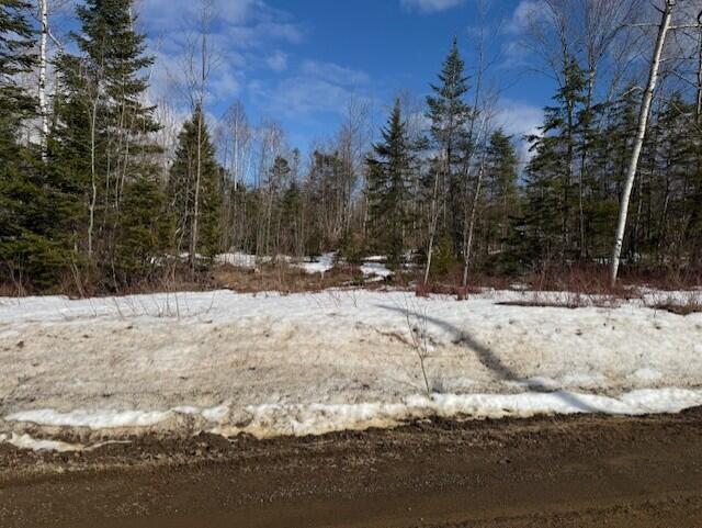 B McDonald Road Mapleton, ME 04757 - Photo 5 of 5 thumbnail_IMG_9407
