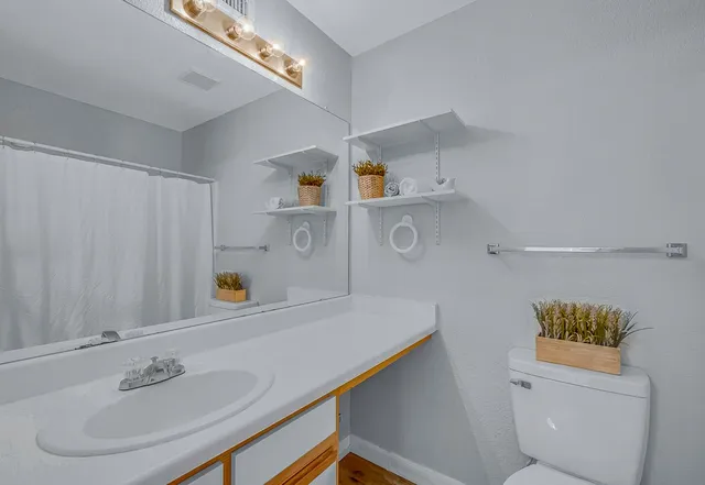 a bathroom with a sink a toilet and a mirror