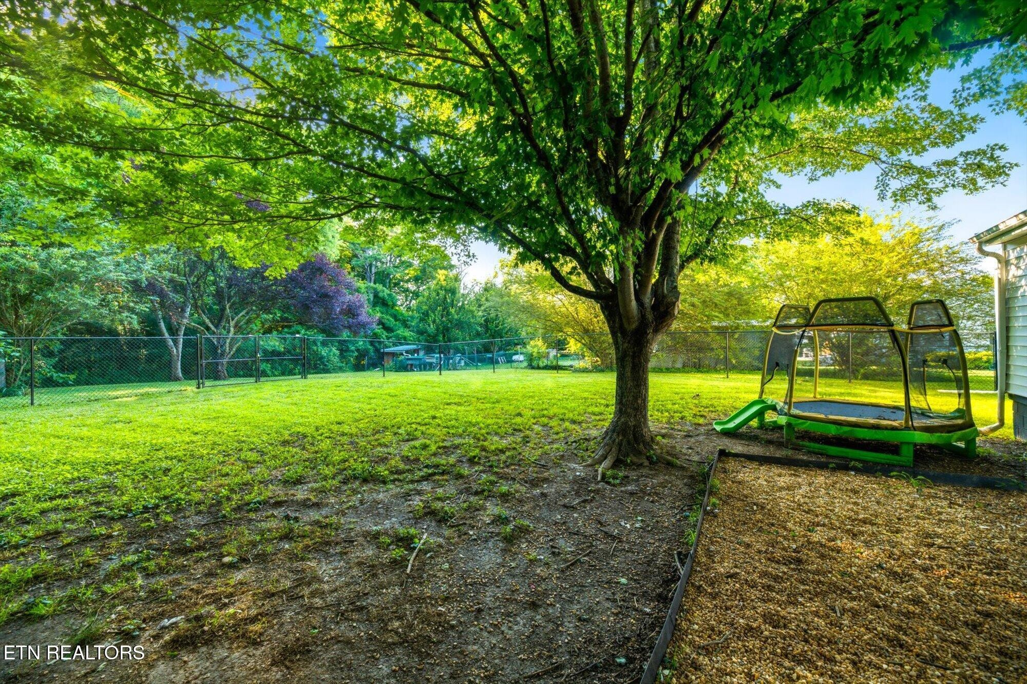 159 Mill Street Delano, TN 37325 - Photo 20 of 22 a view of a park with large trees