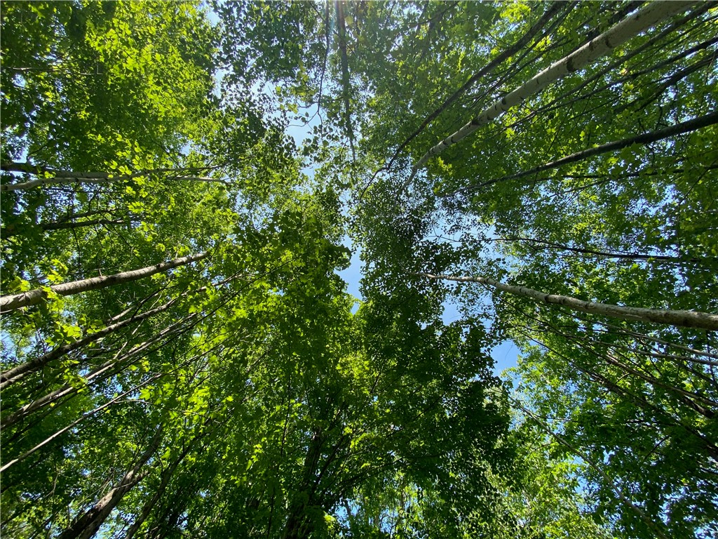 Lot 7 Secluded Trail Hayward, WI 54843 - Photo 35 of 41