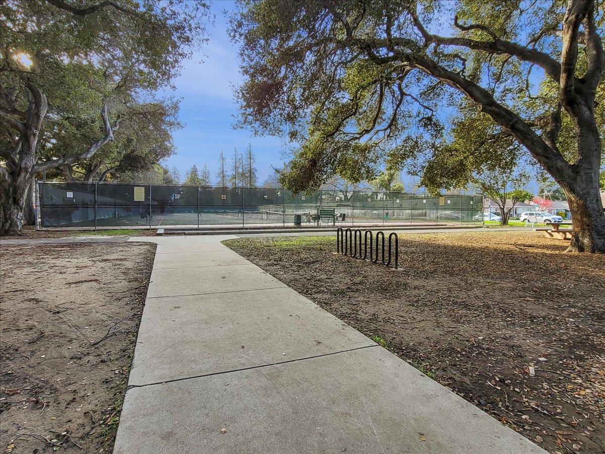 1215 Camino Ramon San Jose, CA 95125 - Photo 72 of 76 a view of a yard with plants and trees