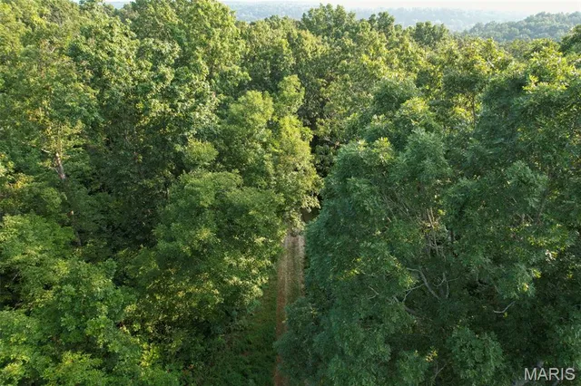 $80,675 | 0 Off Highway, Marble Hill, MO 63764