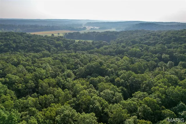 $80,675 | 0 Off Highway, Marble Hill, MO 63764