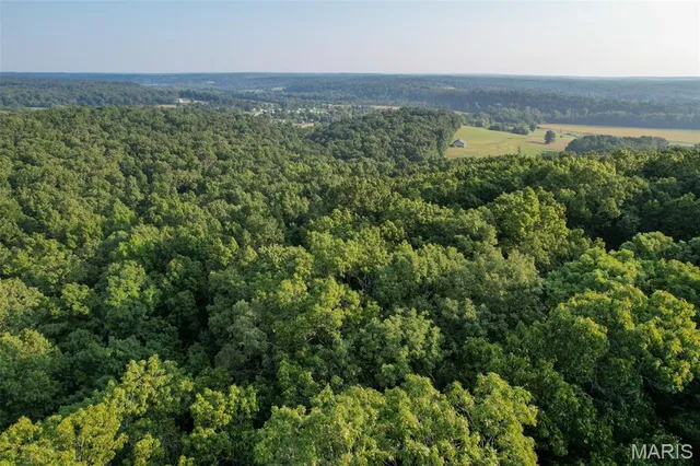 $80,675 | 0 Off Highway, Marble Hill, MO 63764