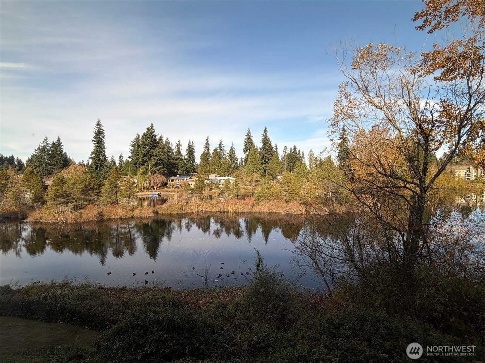 615 75th Street Southeast, Unit C52 Everett, WA 98203 - Photo 15 of 19