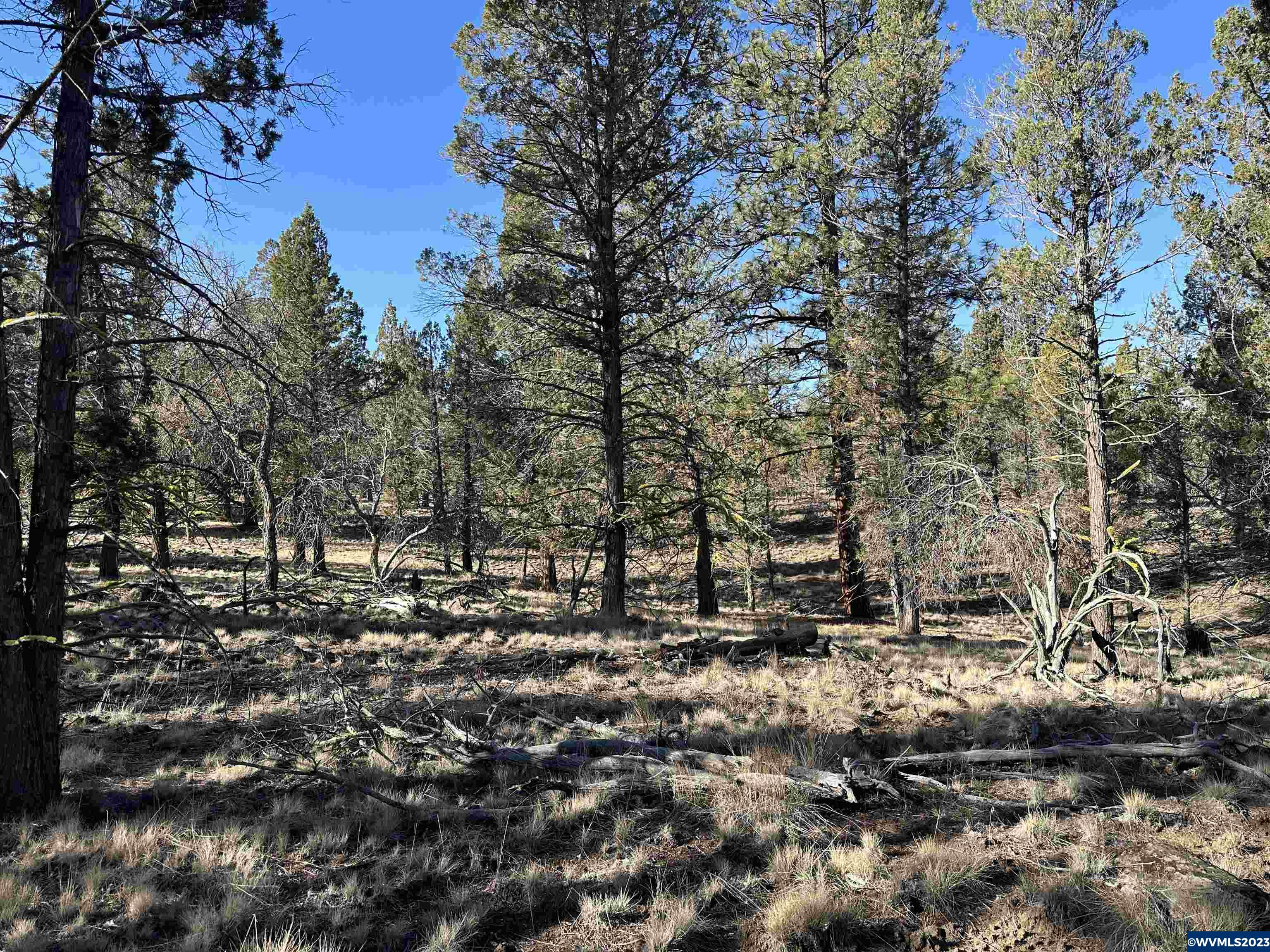 1300 Fishhole Creek Road Bly, OR 97622 - Photo 23 of 25