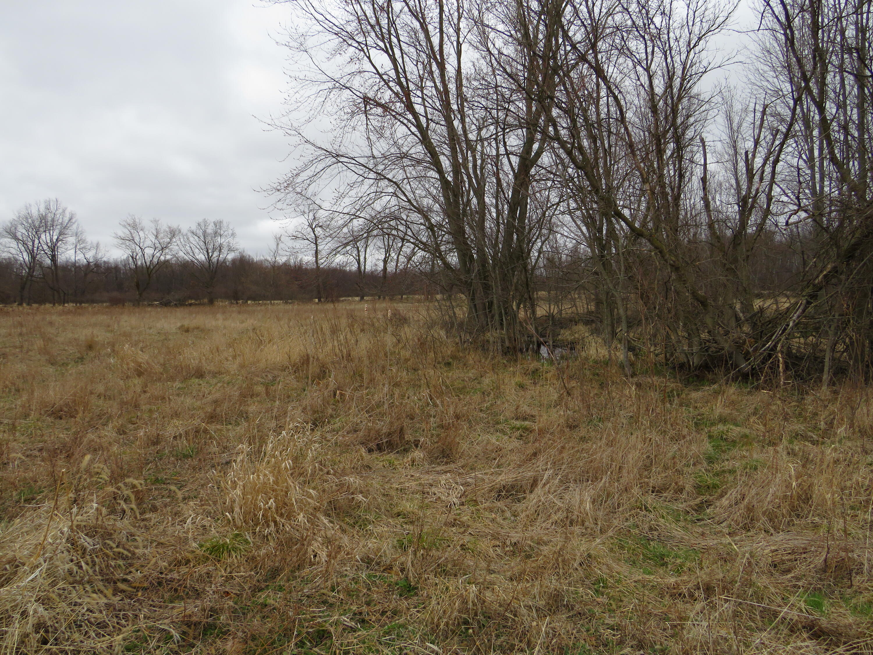 Fenner Road Laingsburg, MI 48848 - Photo 11 of 30 IMG_3780